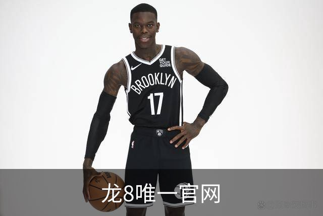龙8唯一官网公司简介